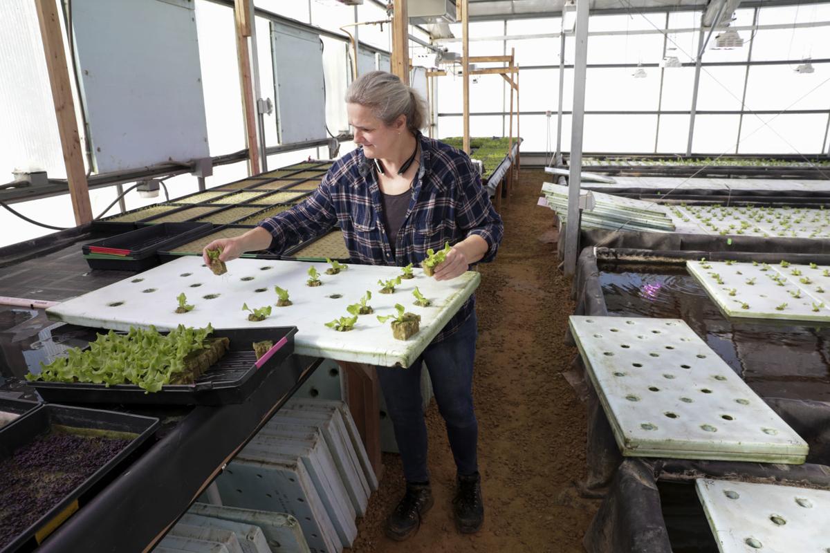 Wisconsin Producers Turn To Aquaponics Farming Qconline Com