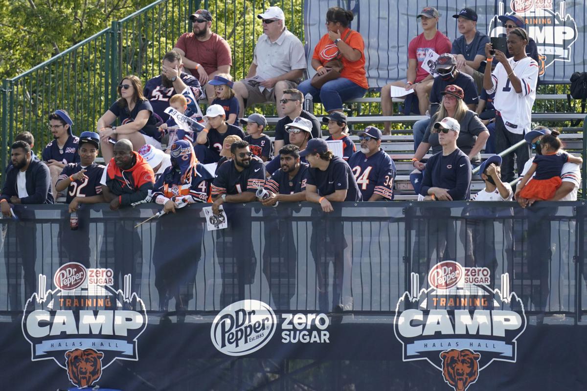 Bears Football