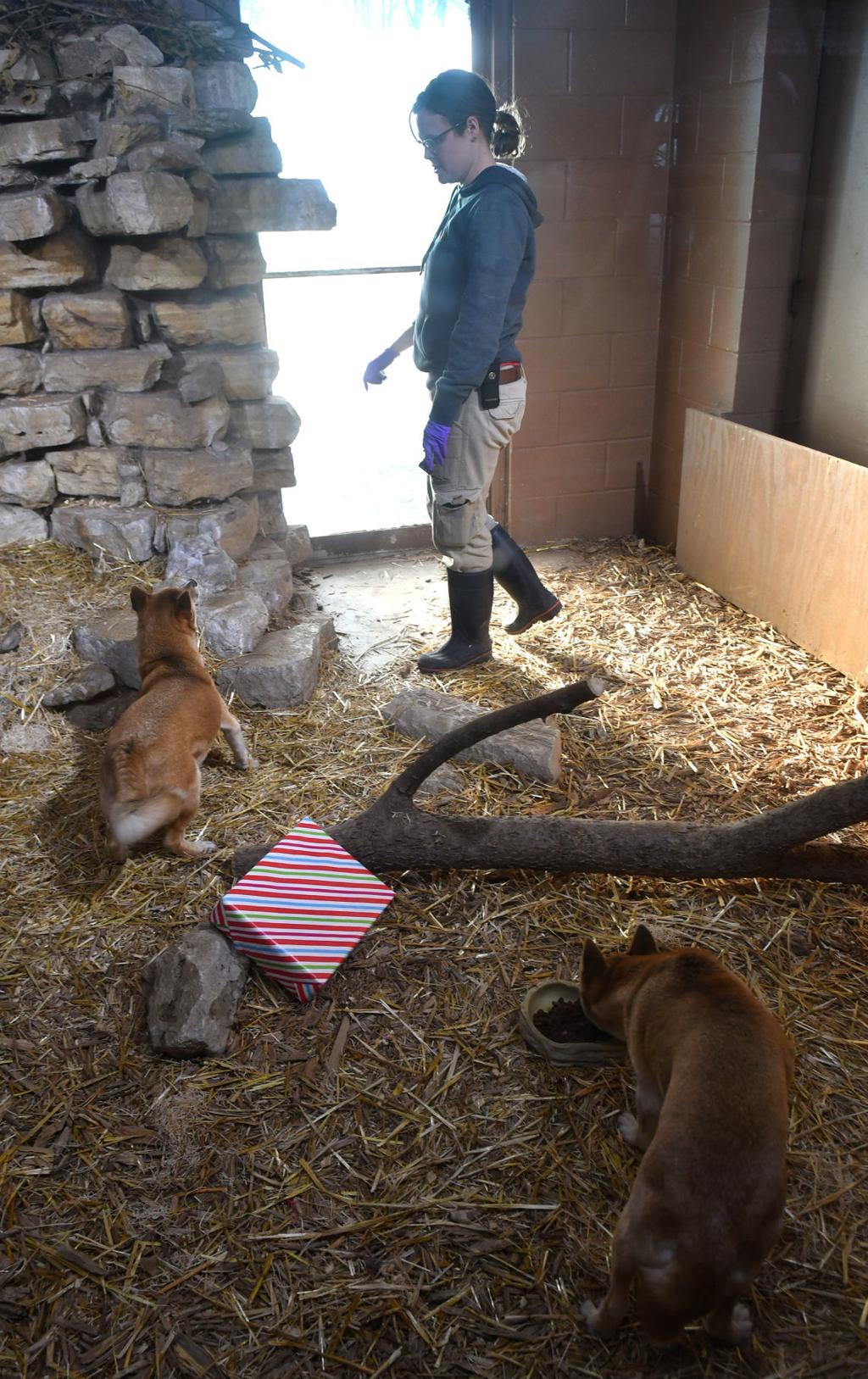 Niabi Zoo Earth Day 2022