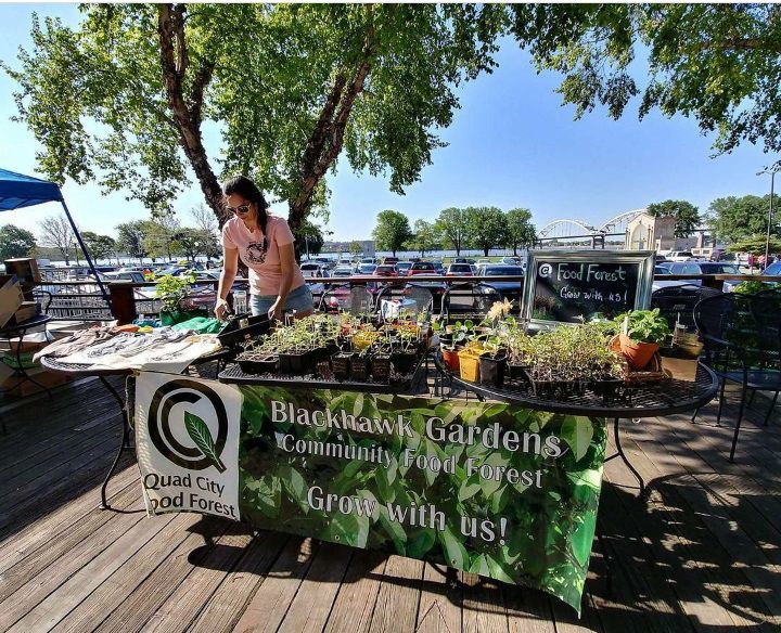 Quad City Food Forest Local group grows food and community Radish
