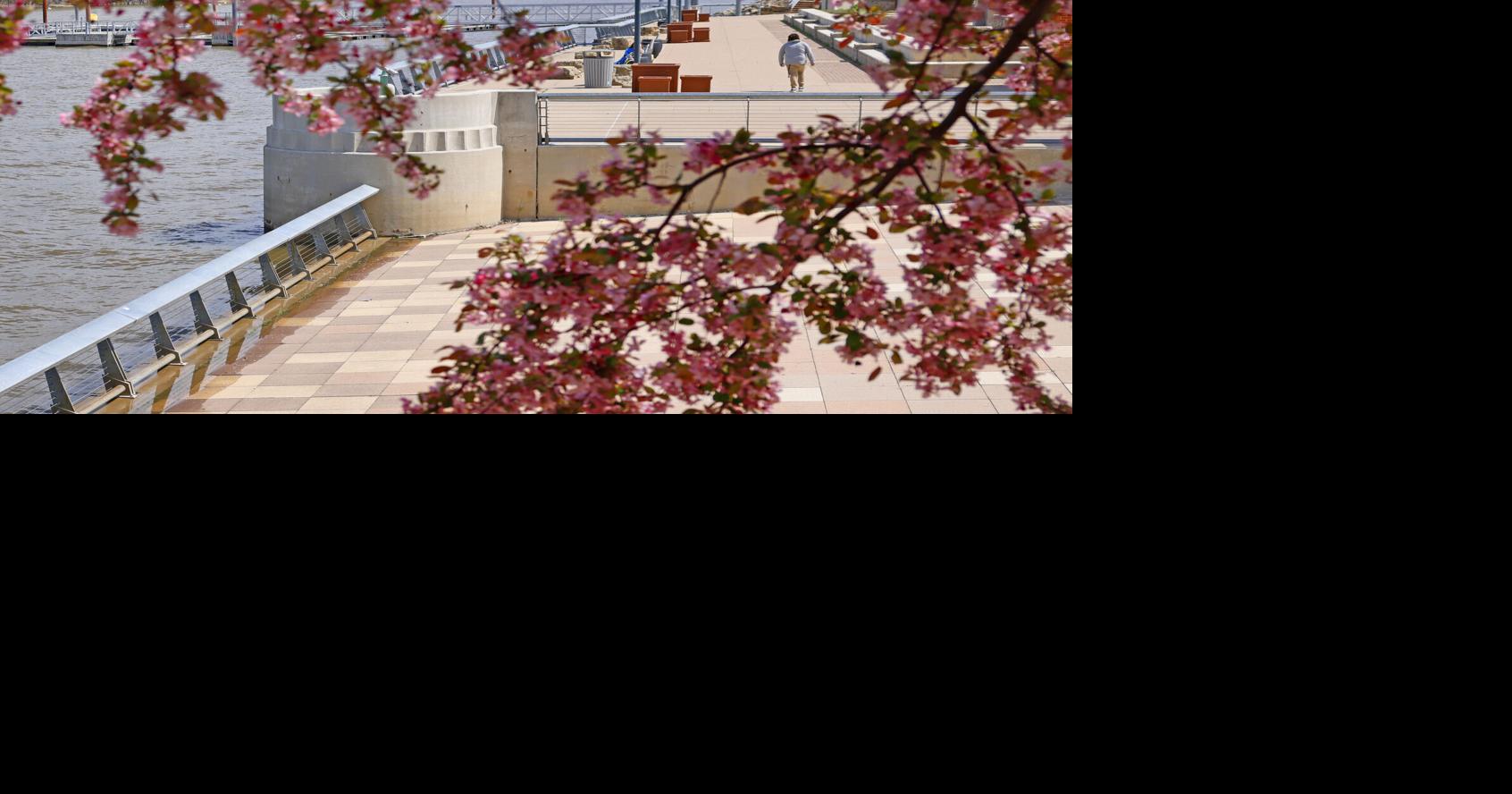 QuadCities area river level forecast down from last week