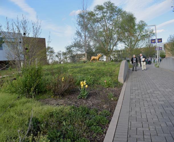 Plants, Paths and Pizza 2024
