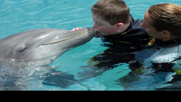 Dolphin Boy