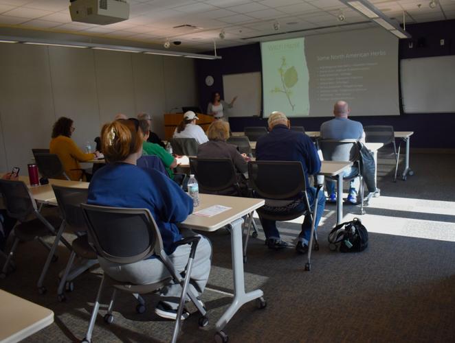 Plants, Paths and Pizza 2024