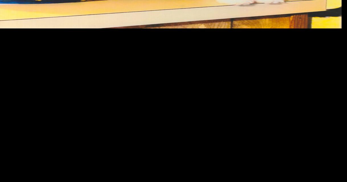 The legend of a cat named Zorro