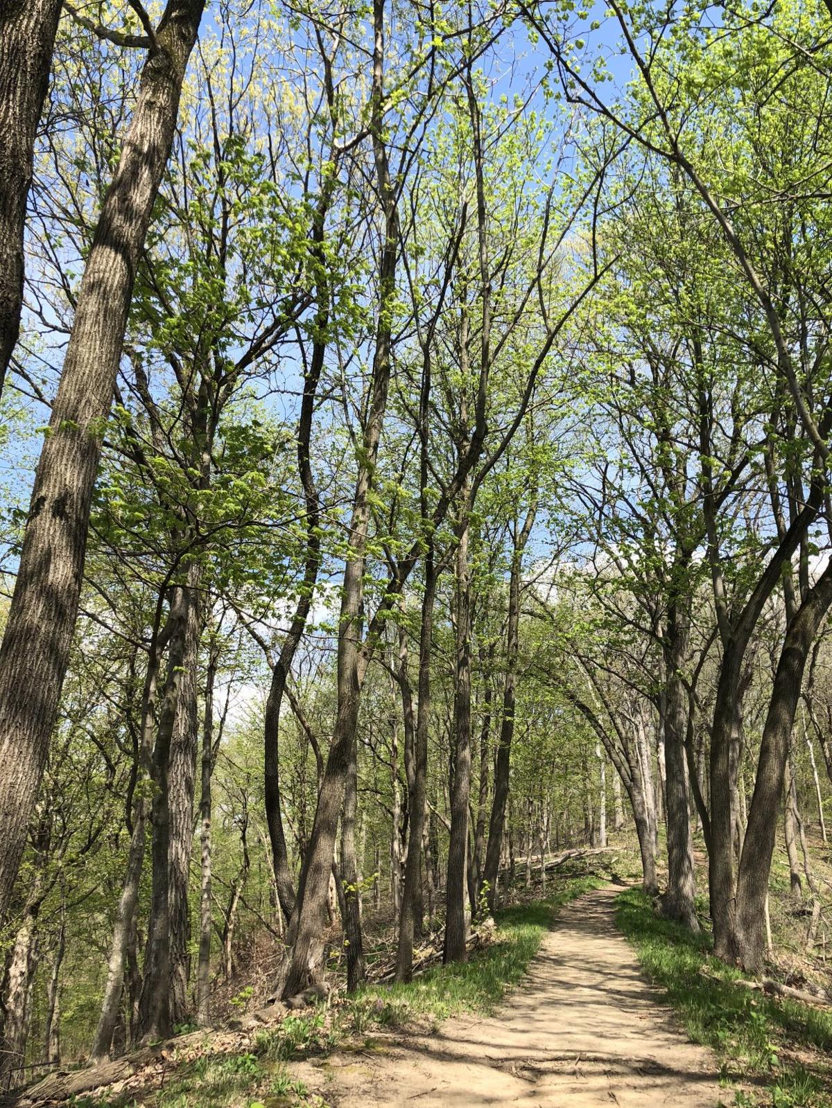 Happy Trails To You Here Is A Handful Of Places To Explore This Summer Radish Magazine Healthy Living From The Ground Up Quad Cities Illinois And Iowa Qconline Com