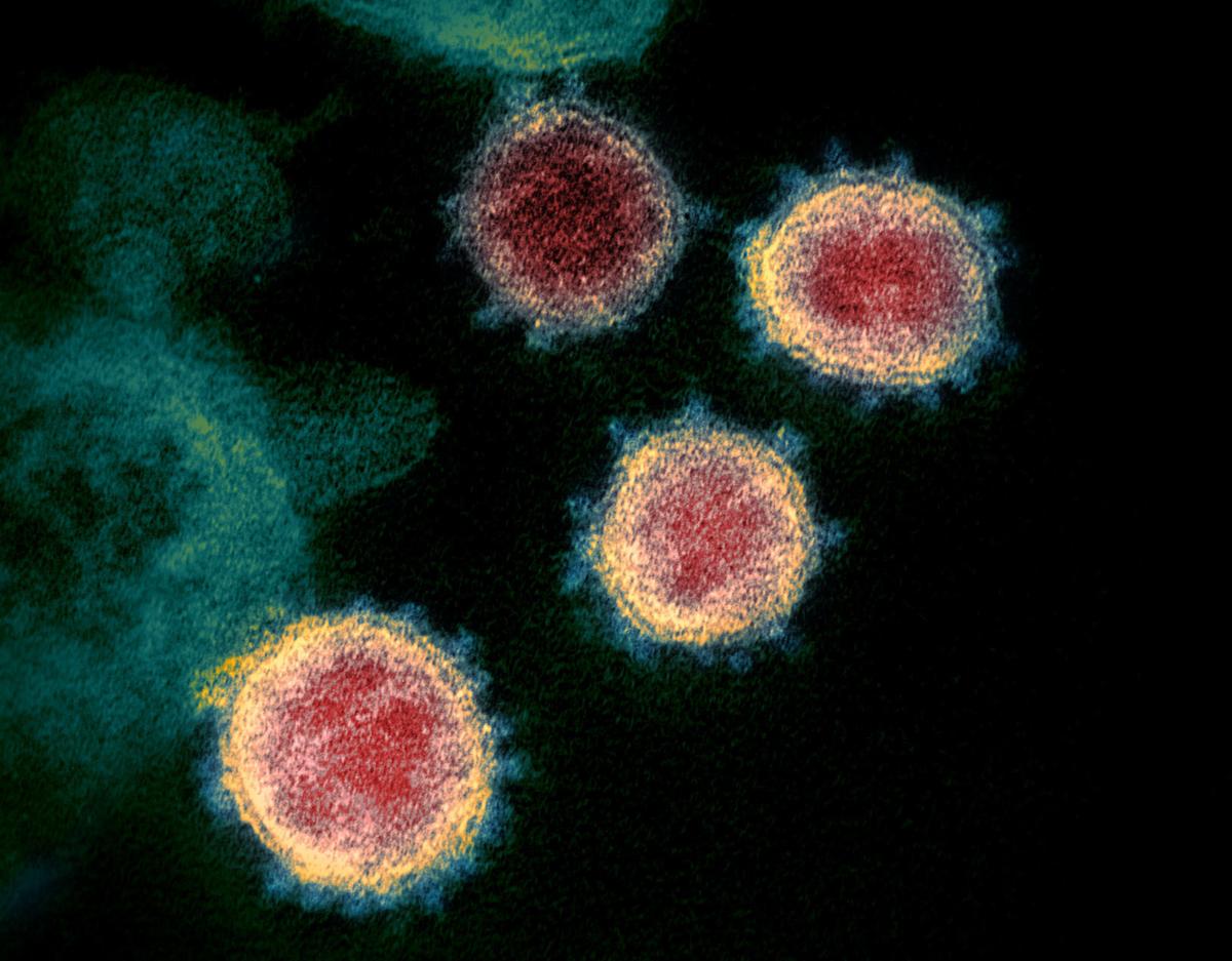 Virus Outbreak Treatments