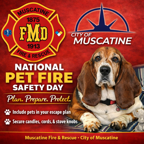 Muscatine Fire highlights pet safety on National Awareness Day