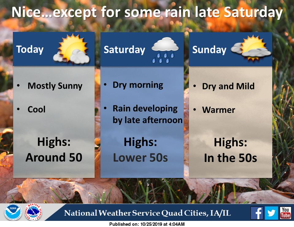 Friday Briefing All Things Halloween Man Sentenced In Fatal Moline Crash And Popular Christmas Tree Farm Rebounding After Drought Local News Qconline Com