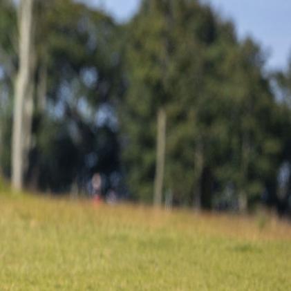 Park Van Dam Lee Share Lead At Ladies Scottish Open Golf