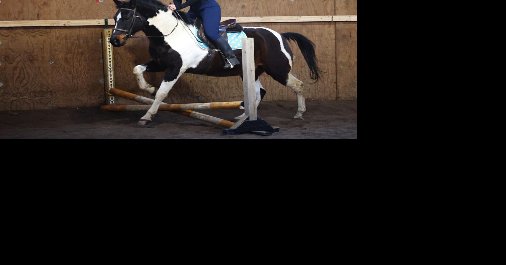 Photos:  Huntermark Snowflake Series 1 Show at Atlas Equestrian Center
