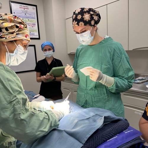 Turning Passion Into Practice: A Vet Tech Success Story