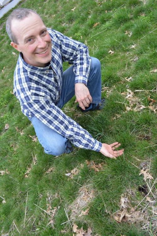 Rethinking Turf Weighing The Pros And Cons Of No Mow Lawns Life Qconline Com Many years ago my girlfriend  now my wife surprised me by mowing my lawn on a saturday while i was at work. pros and cons of no mow lawns