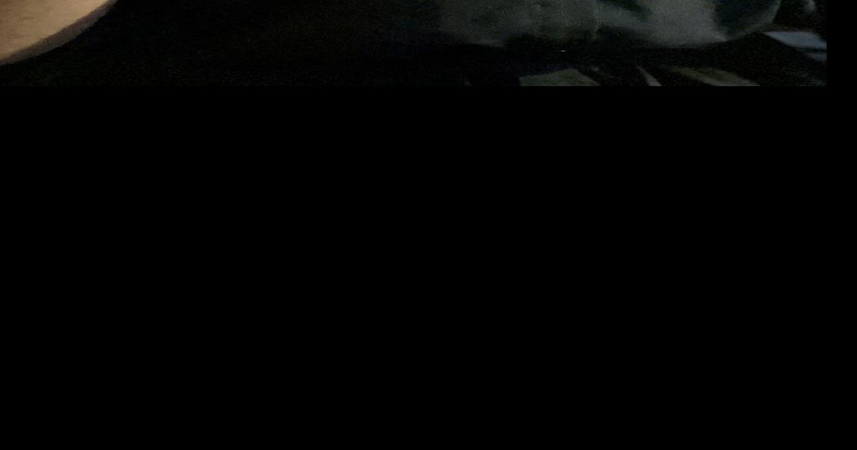 New Brunswick Center Club Plans for Clothing Drive | Campus & Community