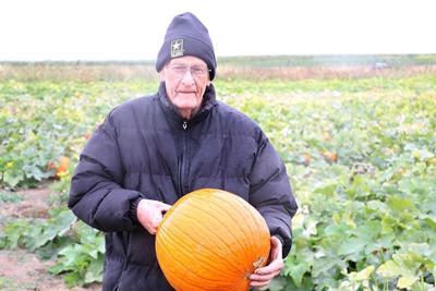pumpkin-patch