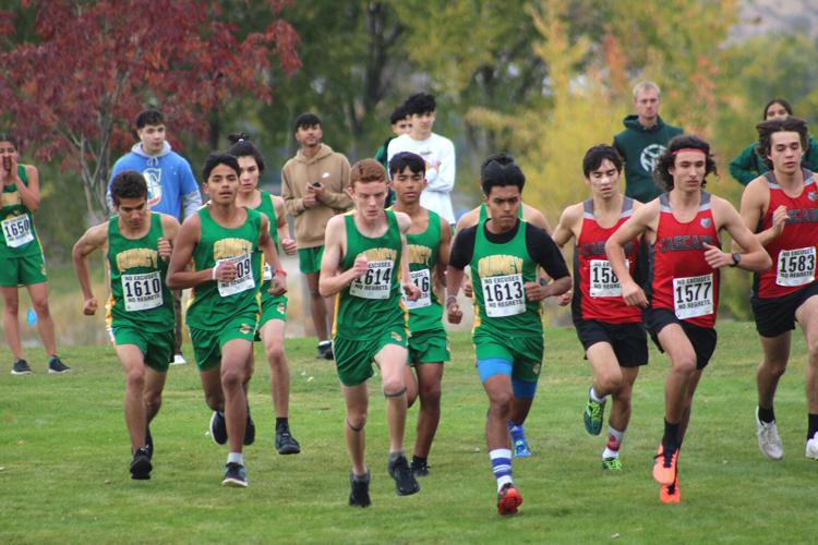 Cross country season ends at district competitions