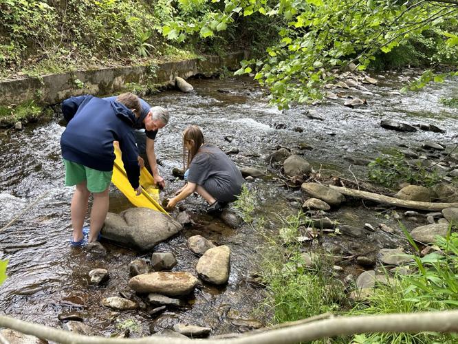 Sperryville river
