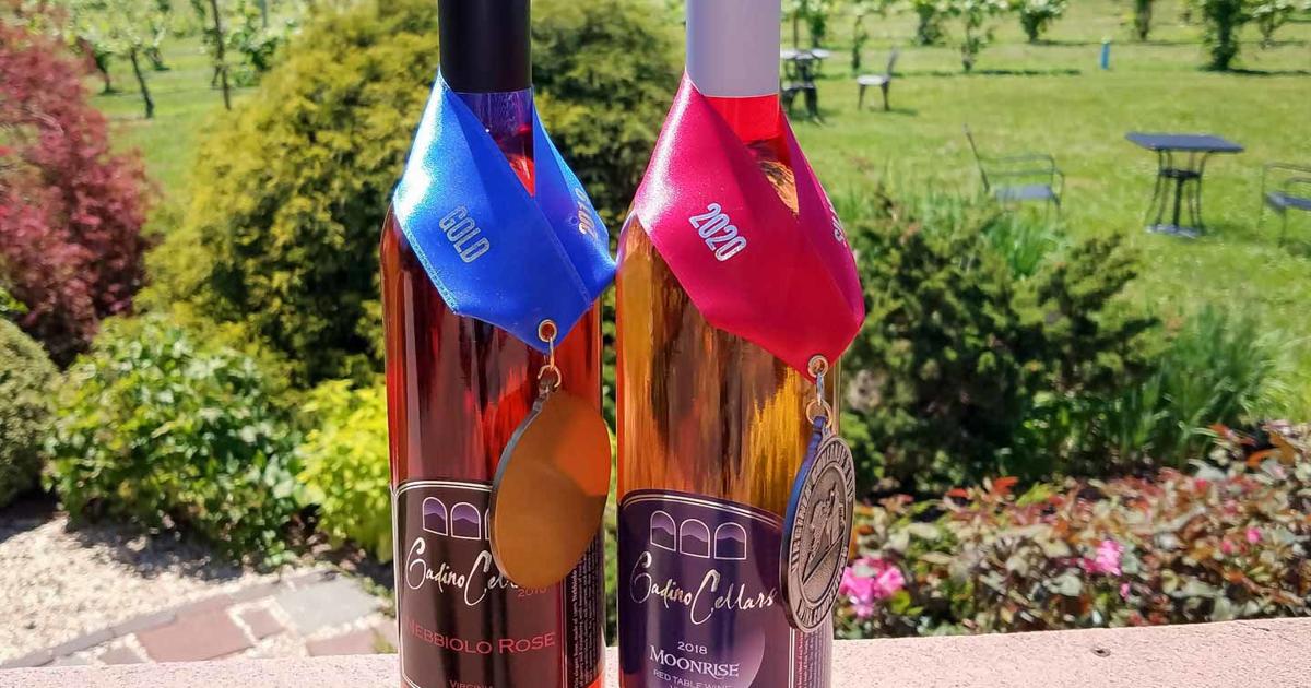 The Rapp for June 11 | The Rapp | rappnews.com