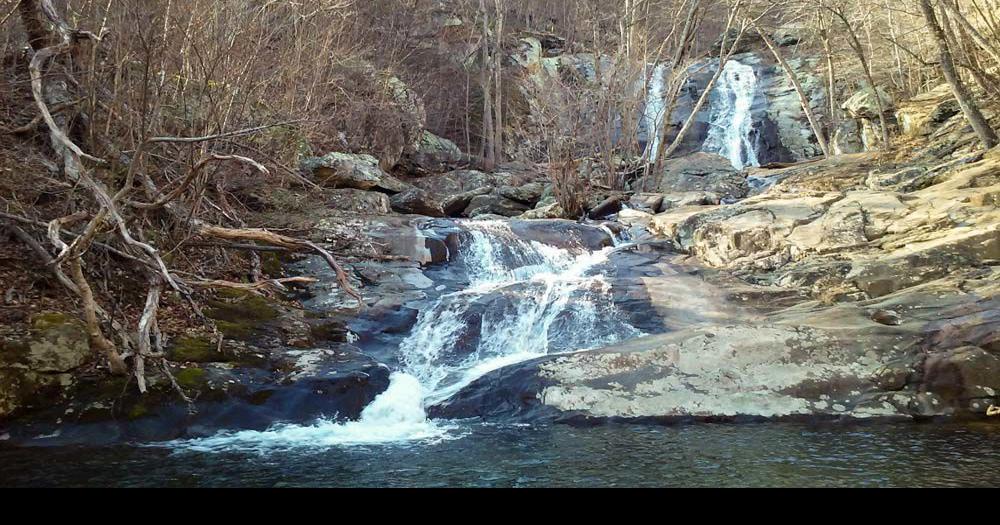 are dogs allowed at white oak canyon