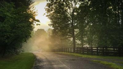 road-mist-story.jpg