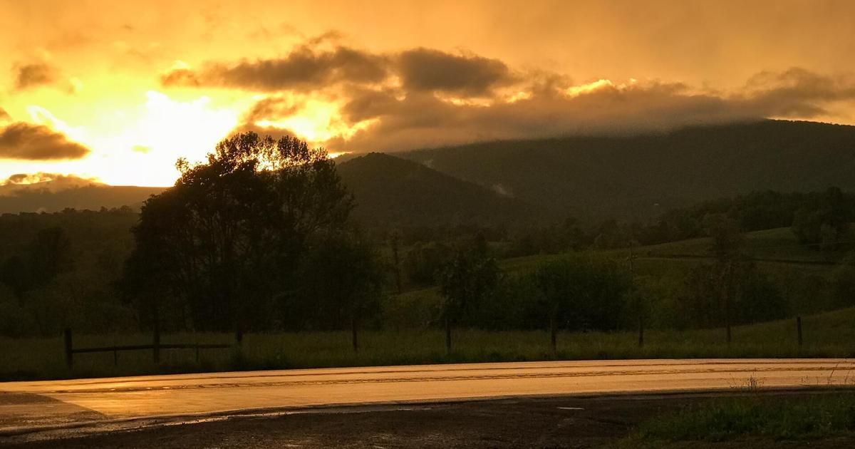 The Rapp for June 4 | The Rapp | rappnews.com