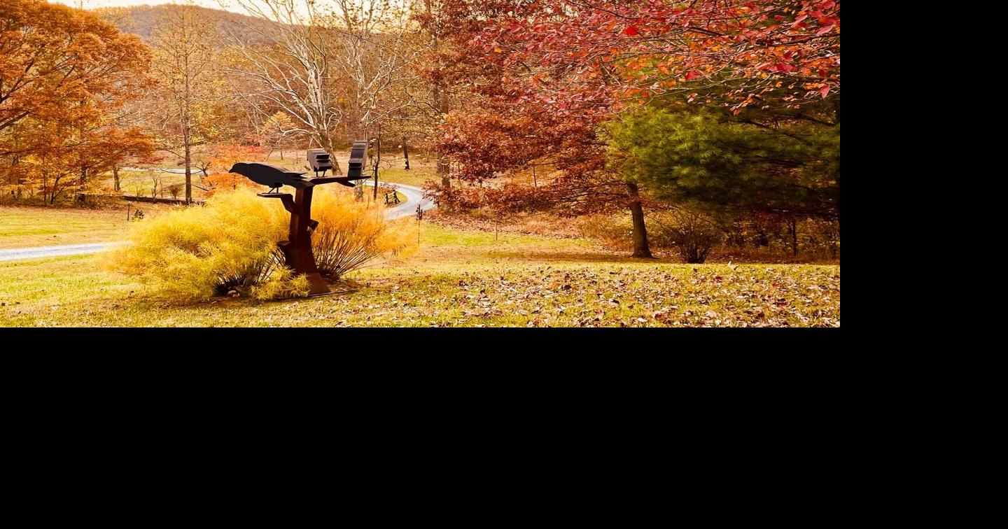 Picture-perfect moments: RAAC unveils photo contest winners | Arts ...