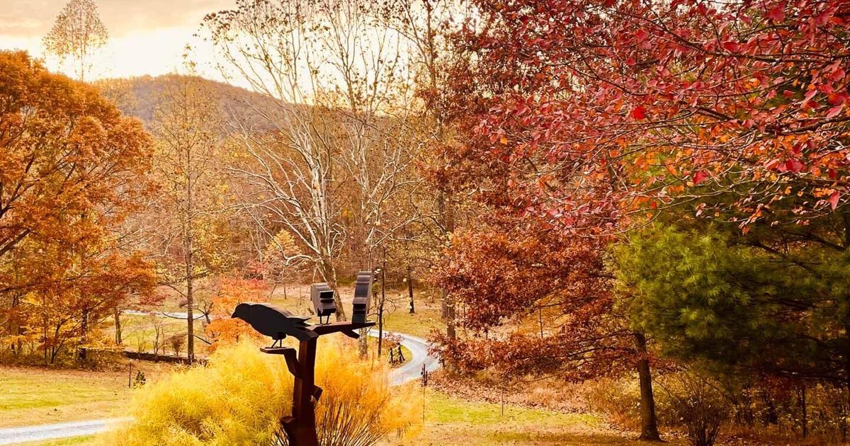 Picture-perfect moments: RAAC unveils photo contest winners | Arts ...