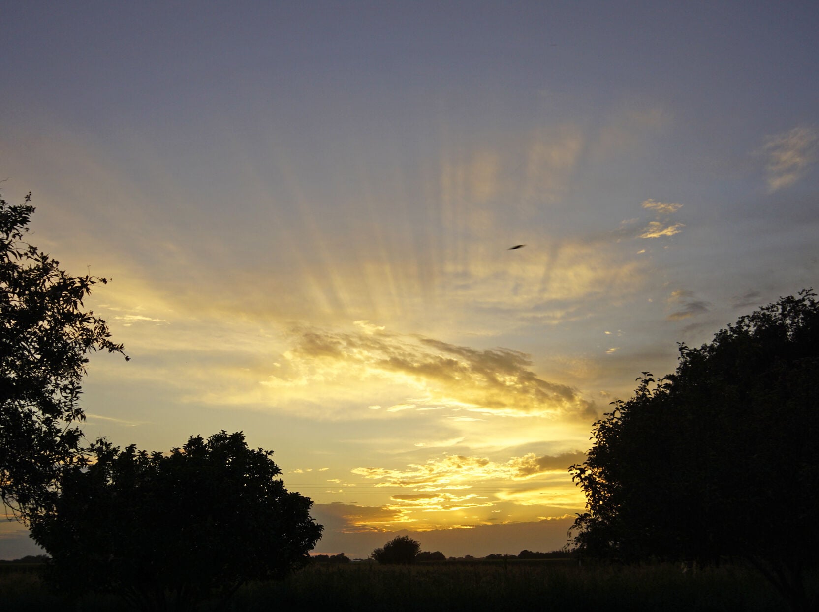August sunset