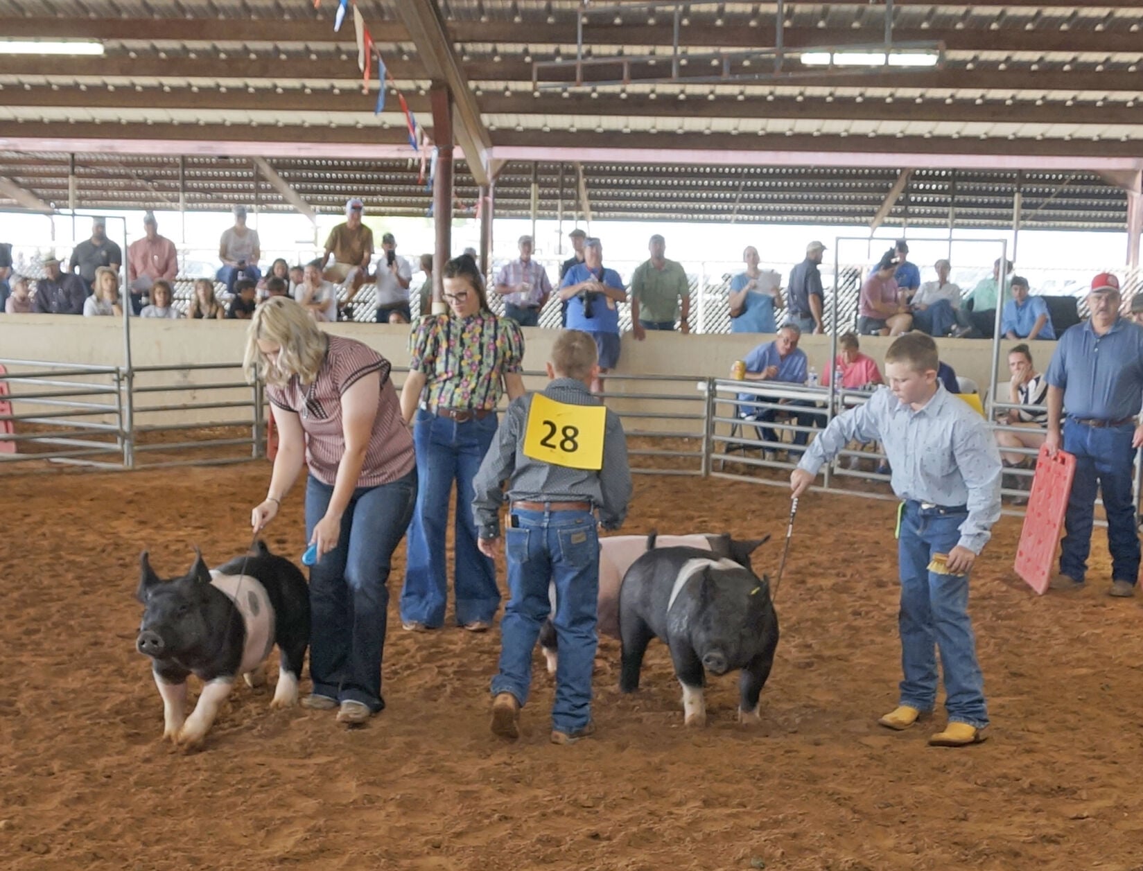 Chaves County 4-H and FFA Fair continues with swine show