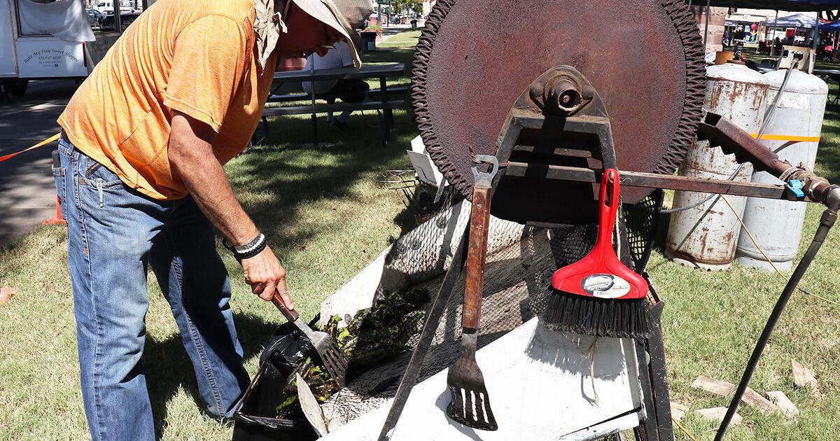 Festival Anual del Queso Chileno destaca las tradiciones de la región | Festival Anual del Queso Chileno destaca las tradiciones de la región |