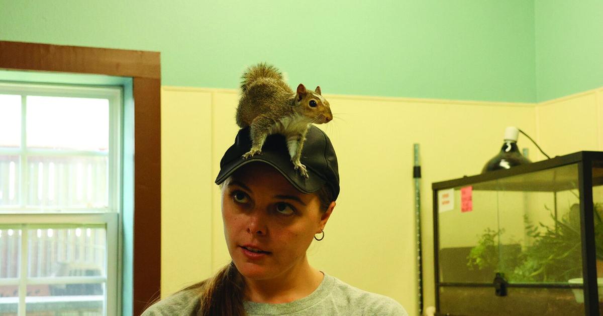 South Plains Wildlife Rehab Center talks rescues, advice, need for volunteers