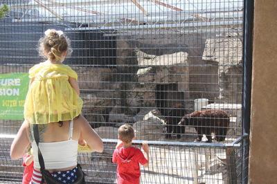 Zoo seeks to make security, exhibit upgrades | Local News 