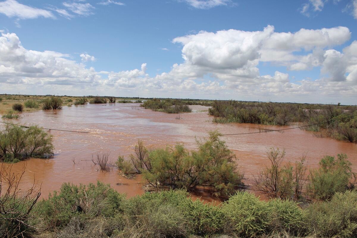 Pecos River Flooding East Of Roswell Closes Road Local News Rdrnews Com   63041387aca5d.image 