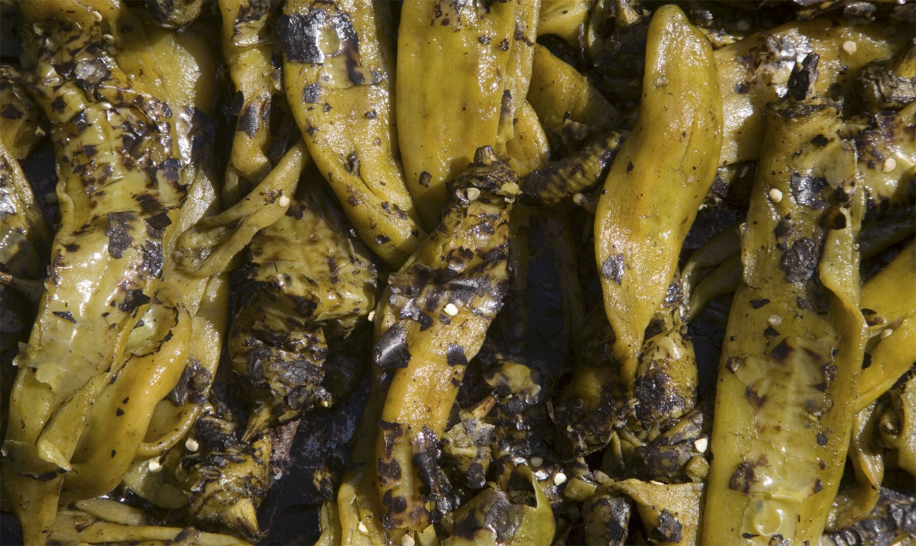 New Mexico family feud over green chile enchiladas leaves one dead