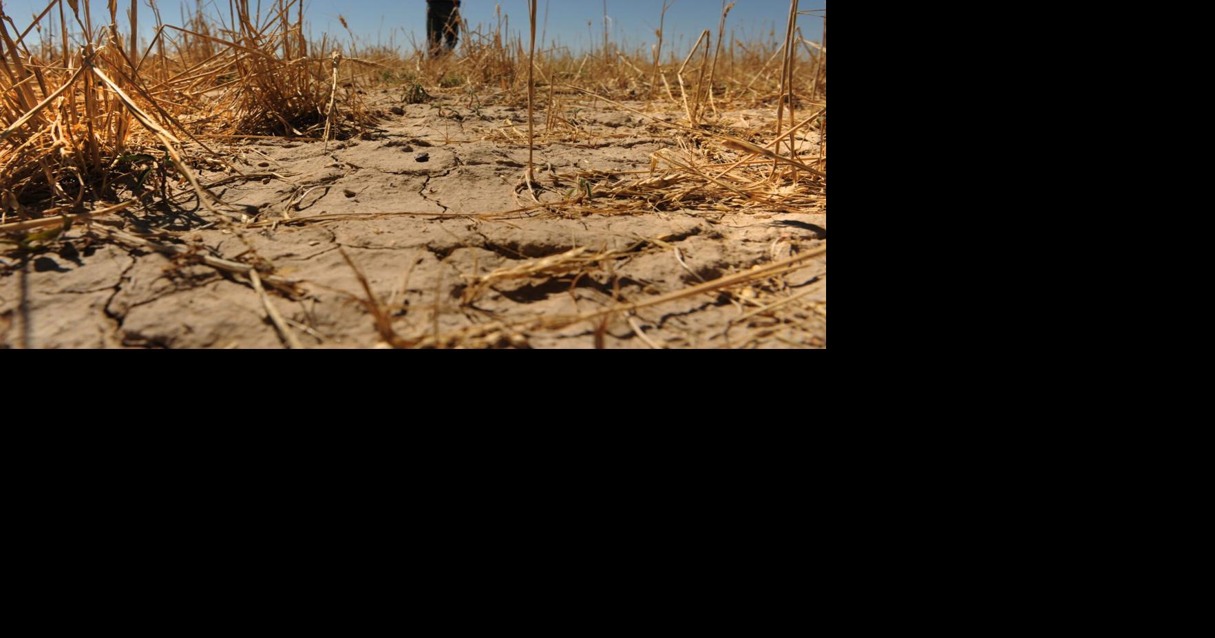 One of the most powerful El Niños on record cost the world economy $5.7 trillion