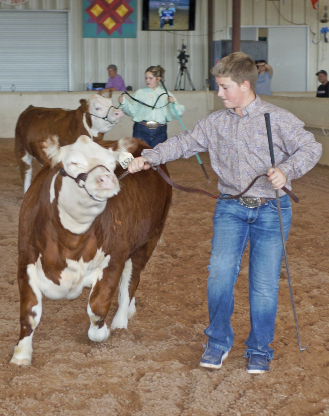 Steer wrangling