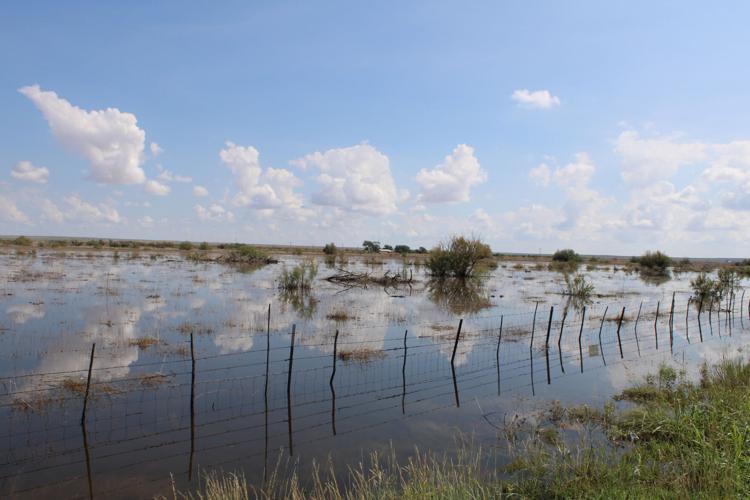 Water levels slowly fall east of Dexter Local News