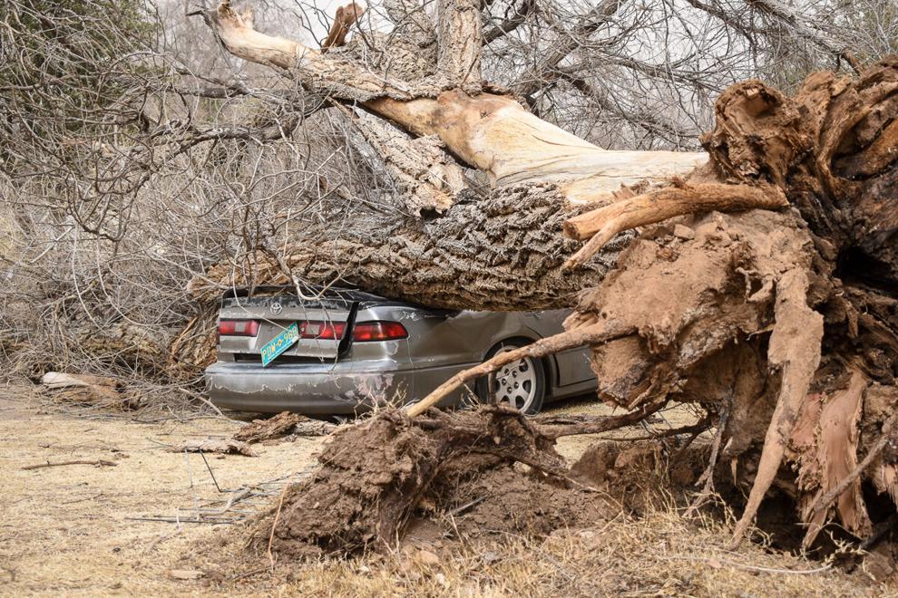 Intense Winds Hit Chaves County Photo