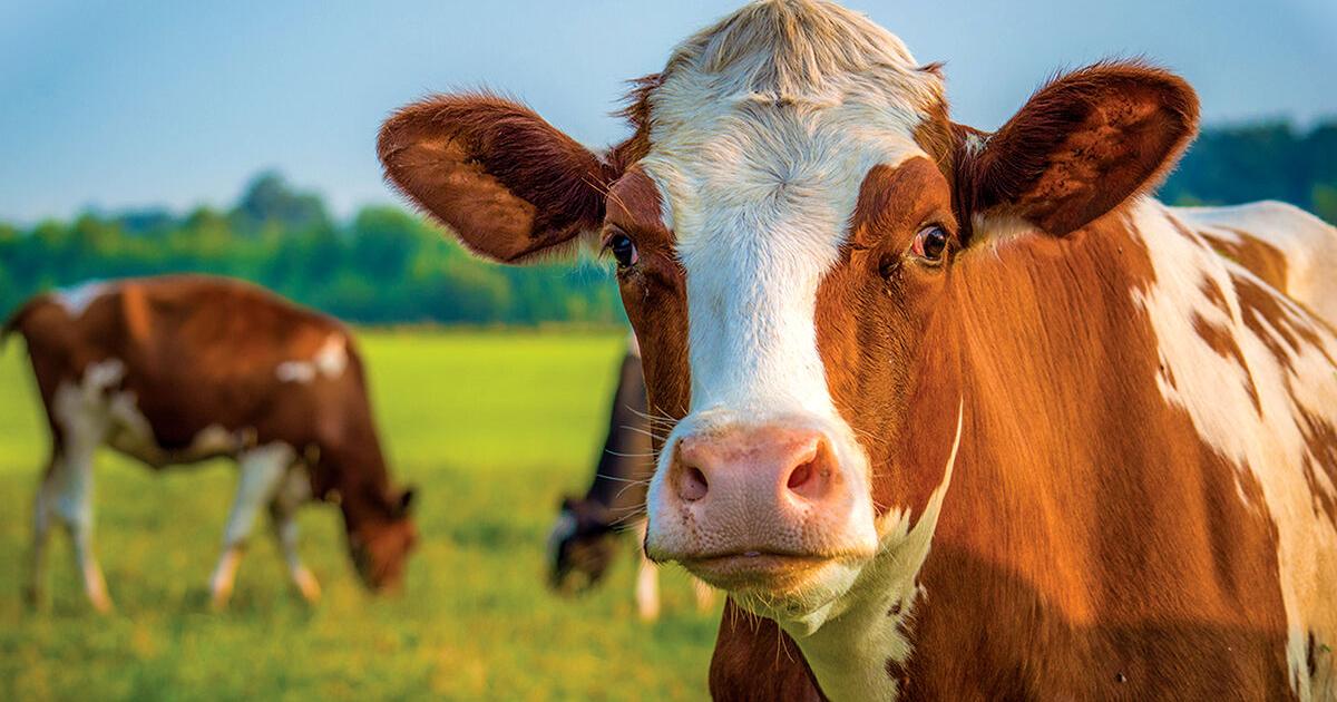 New Mexico Farm & Livestock Bureau supports EPA's updated definition of waters of the US