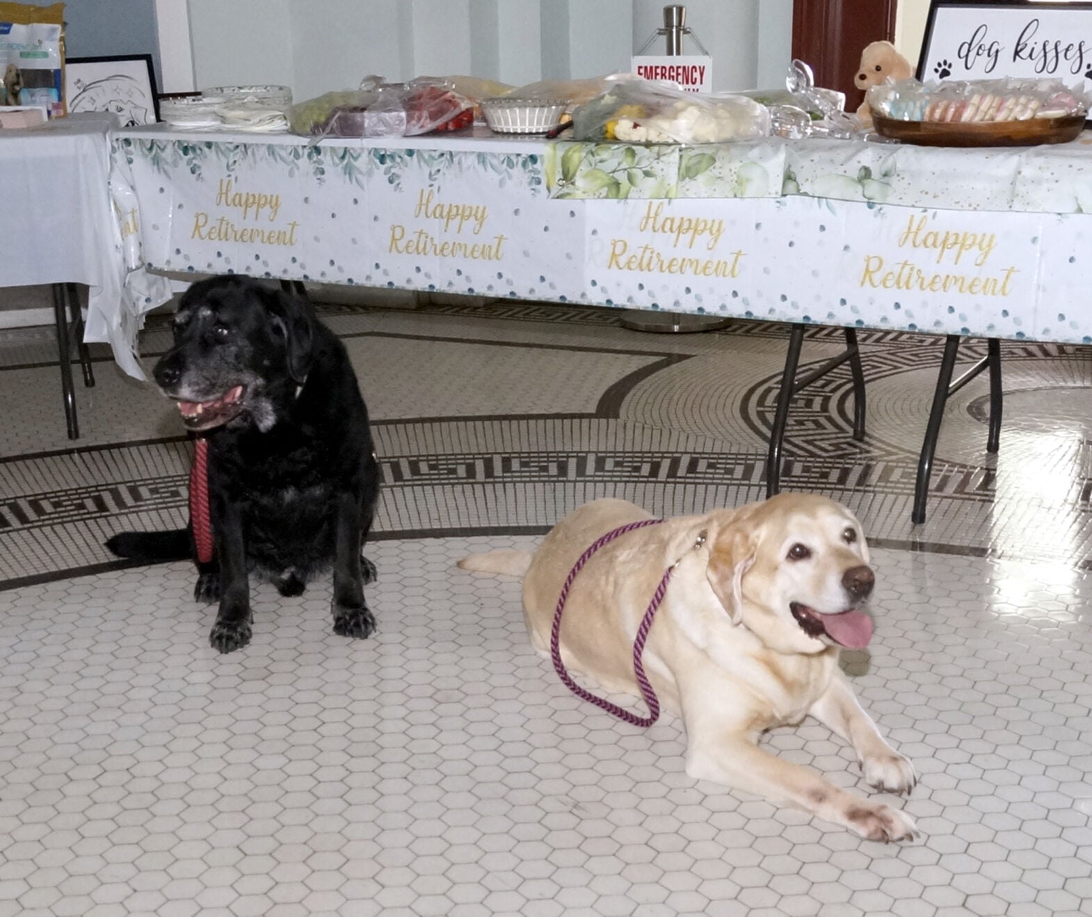 Courthouse facility dogs have earned their retirement