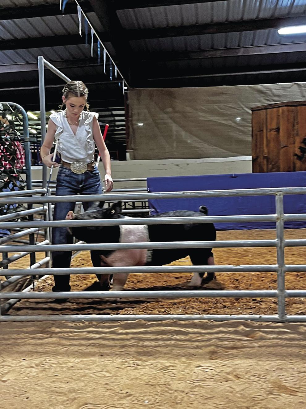 4H kids swarm to the Eastern New Mexico State Fair Local News
