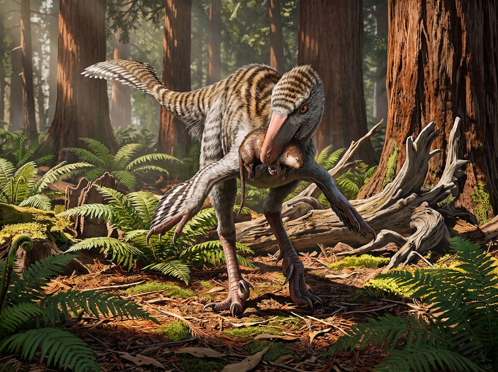 If it walks like a duck — it’s a dinosaur