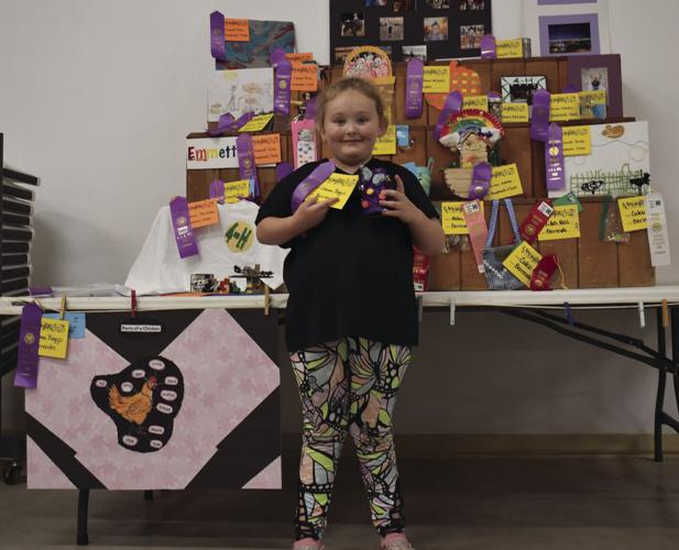 Creativity on display at the Chaves County Fair Local News