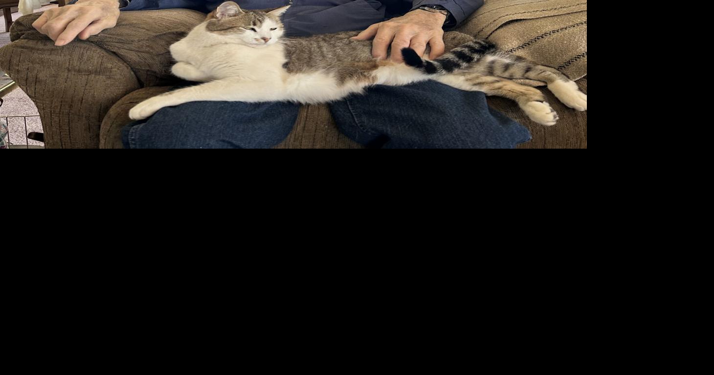 Virgil Haley celebrates 100 years