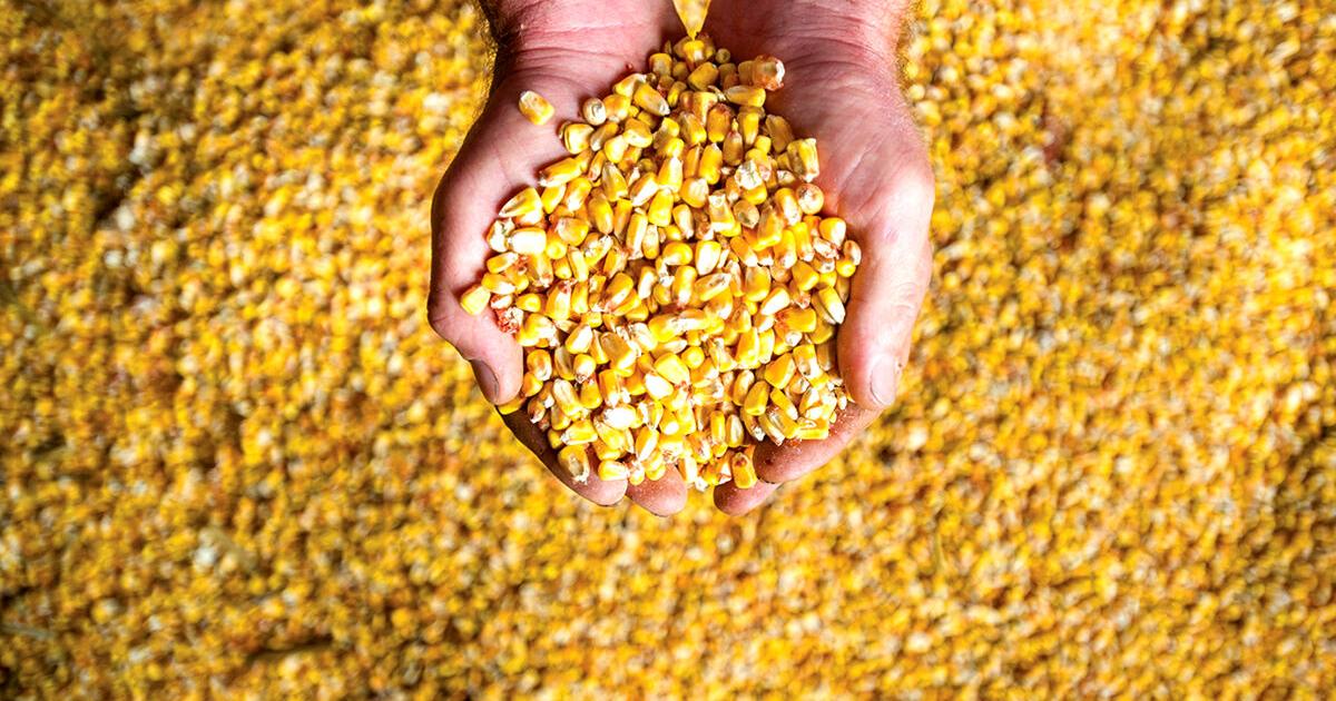 Economic report: state's agriculture industry shows growth