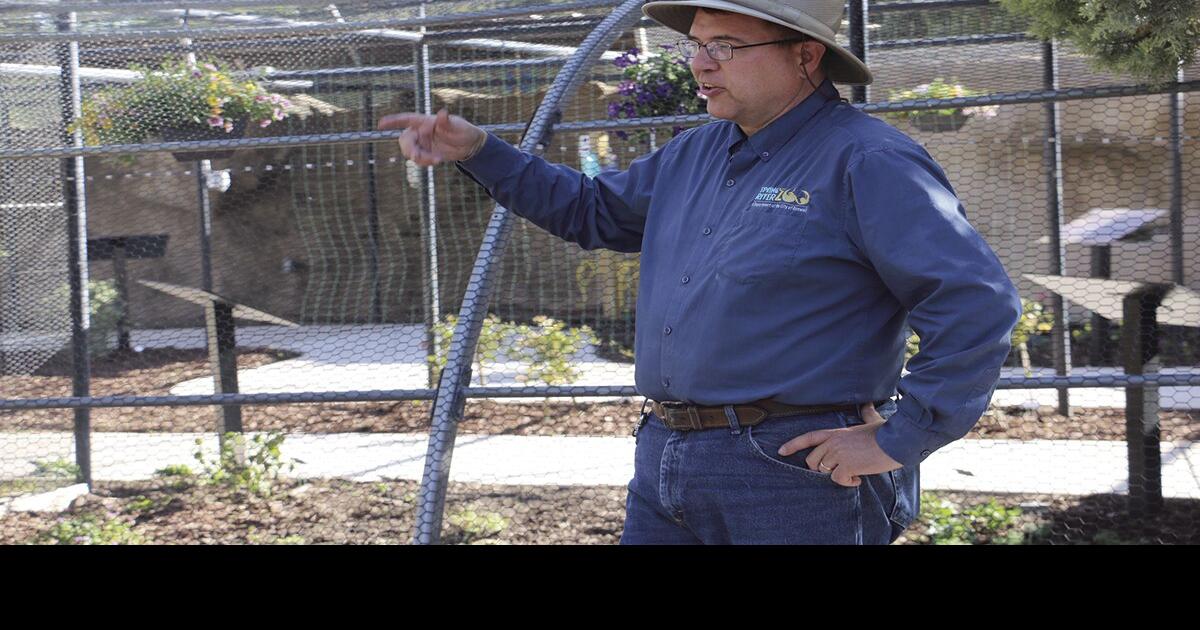 Zoo considers additional absolutely free times for locals | Neighborhood News