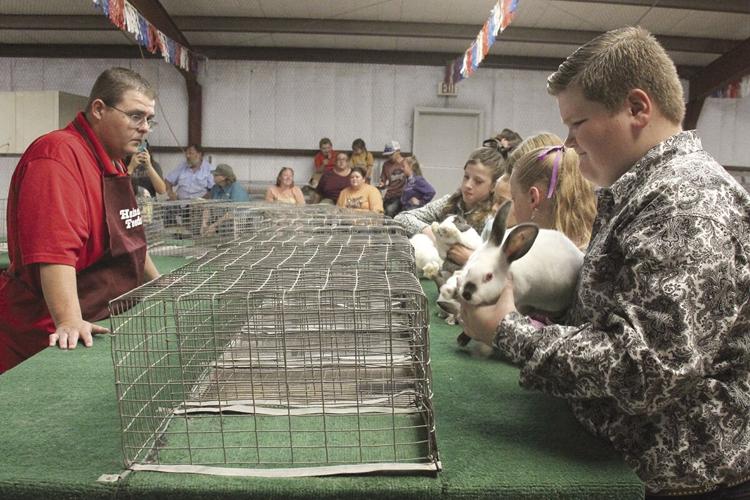 Flemish rabbits tipping the scale at Iowa State Fair