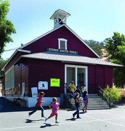 Days Numbered For Citrus South Tule News Recorderonline Com