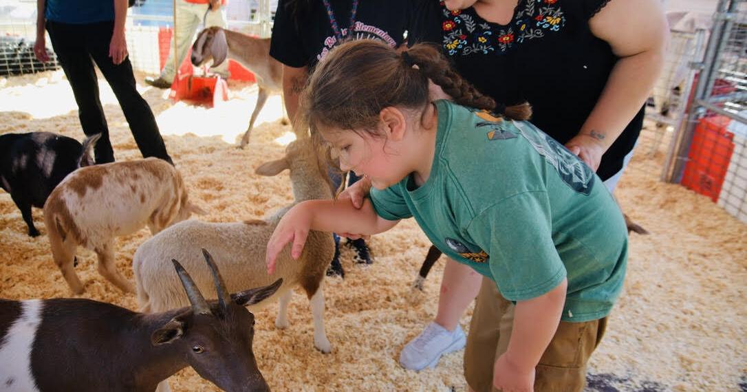 The Friendly Fair: And physics, student projects too