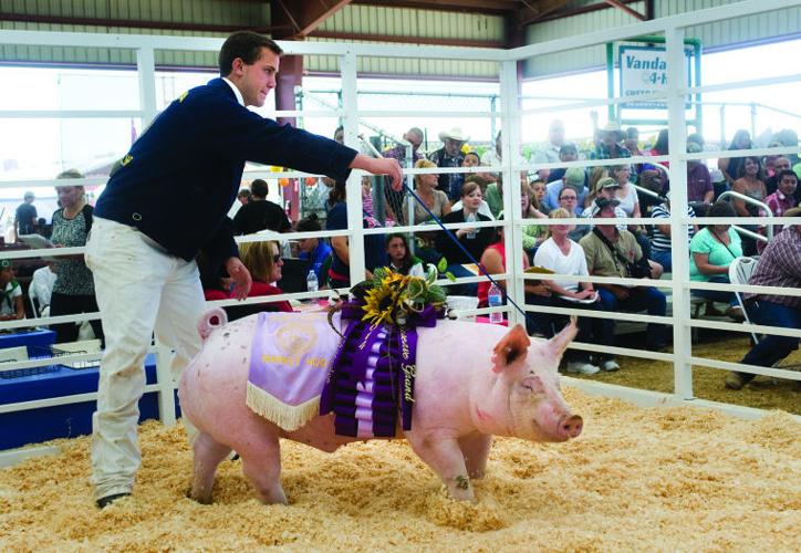 Porterville Fair Auction funds 4H and FFA clubs News